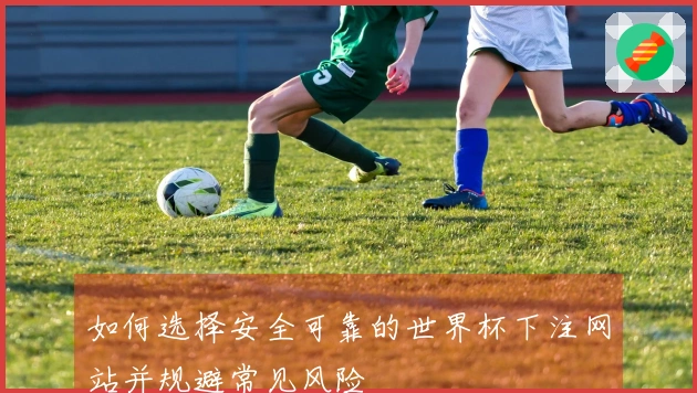 如何选择安全可靠的世界杯下注网站并规避常见风险