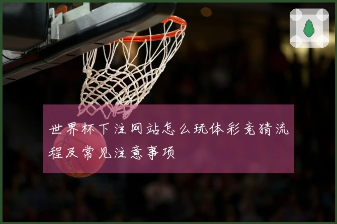 世界杯下注网站怎么玩体彩竞猜流程及常见注意事项