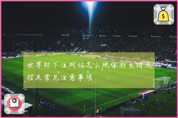 世界杯下注网站怎么玩体彩竞猜流程及常见注意事项