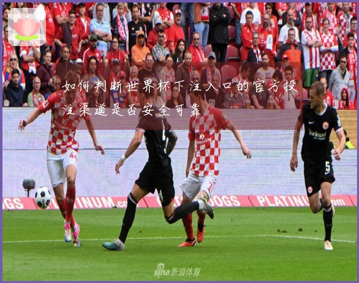 如何判断世界杯下注入口的官方投注渠道是否安全可靠